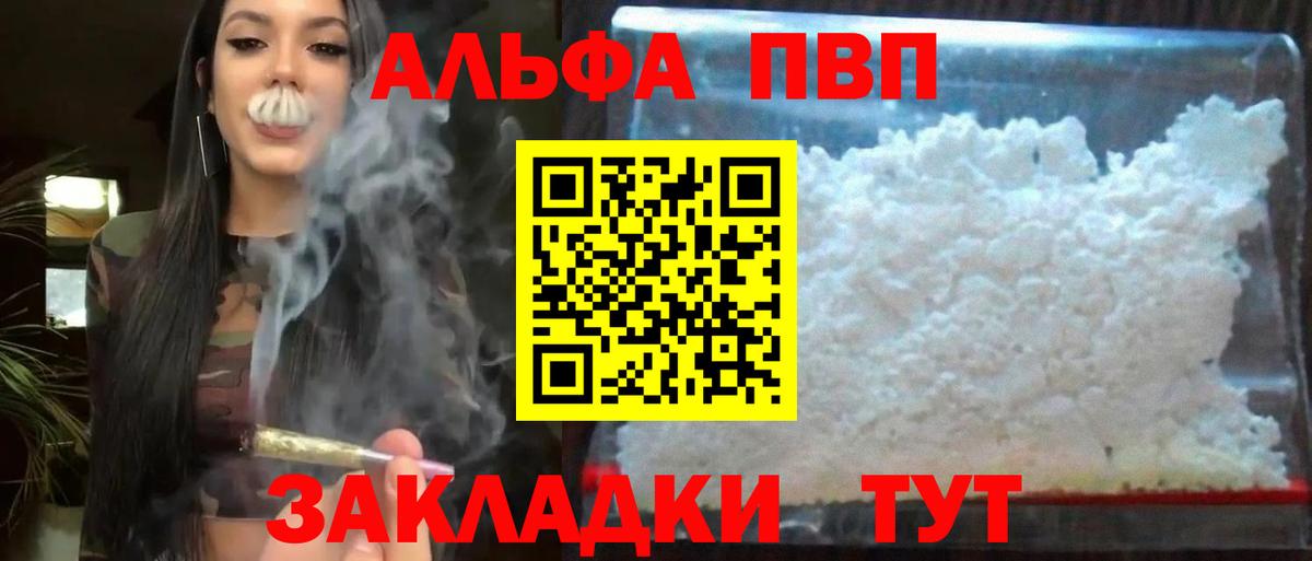 Alfa_PVP СК Камышин