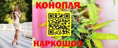 стафф Коммунар