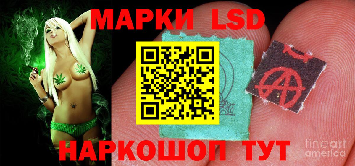 LSD-25 экстази кислота  Вход с VPN  LSD-25 экстази  LSD-25 экстази кислота  Камышин 