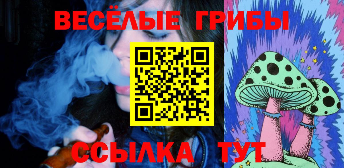 где купить   Галлюциногенные грибы Magic Shrooms  Вход с VPN  Камышин 