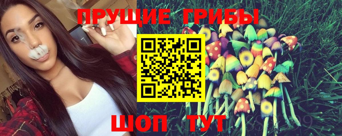 Галлюциногенные грибы ЛСД Камышин